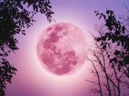 Başak Burcunda Dolunay