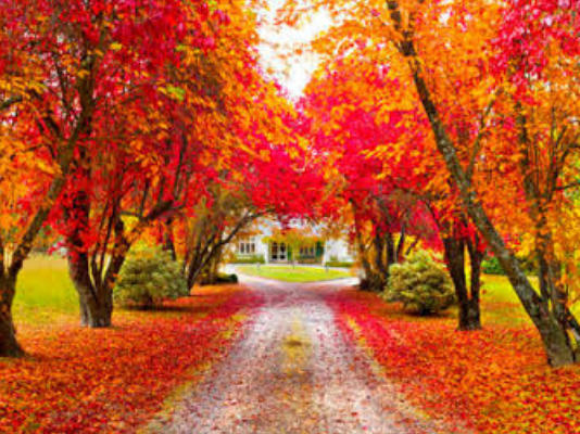 Sevginin ve İnancın Aynası – 8