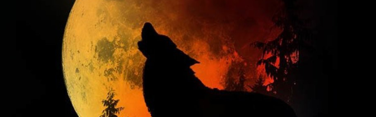 Süper Kanlı Kurt Ay Tutulması Nedir 2001192 FalSepeti Blog