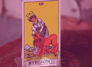 tarot güç kartı