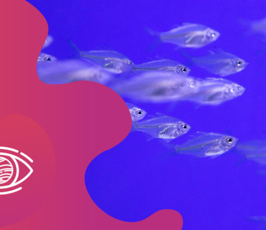Kahve Falında arşivleri FalSepeti Blog
