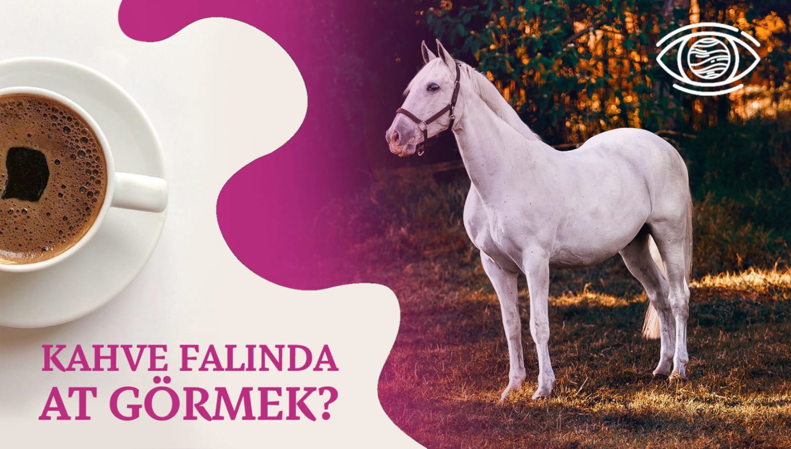 Kahve Falında At Görmek Ne Anlama Gelir? FalSepeti Blog