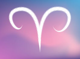 KOÇ BURCU (21 Mart- 20 Nisan) Koç Burcu