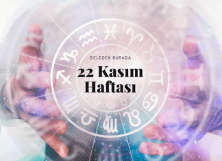22 kasim