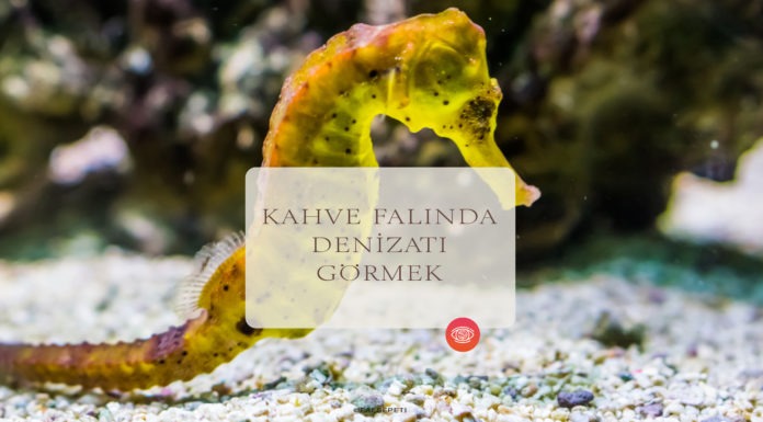 kahve falında deniz atı