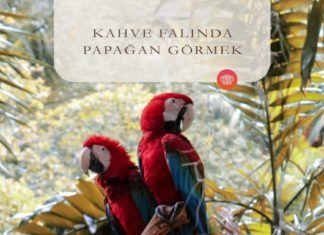 Kahve Falında Papağan Görmek