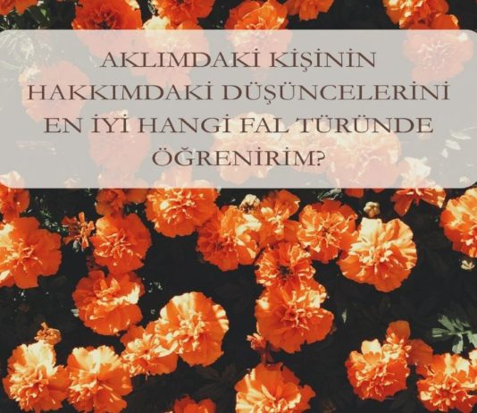 Aklımdaki Kişinin Hakkımdaki Düşüncelerini En İyi Hangi Fal Türünde Öğrenirim?