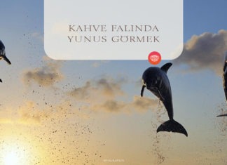 Kahve Falında Yunus Balığı Görmek