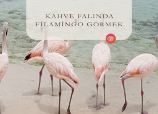 Kahve Falında Flamingo Görmek