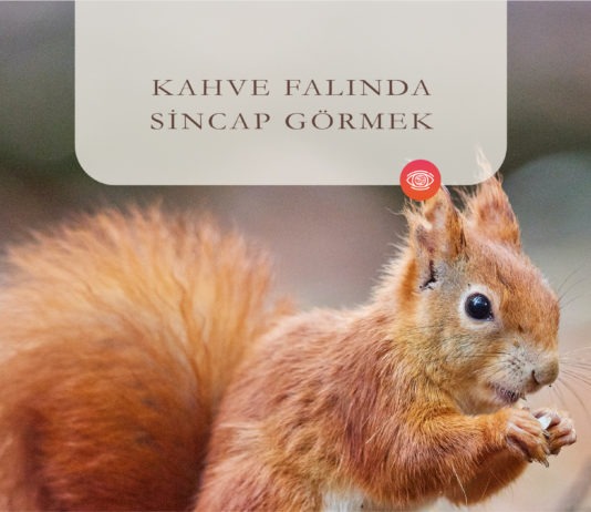 Kahve Falında Sincap Görmek