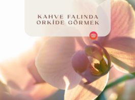 Kahve Falında Orkide Görmek