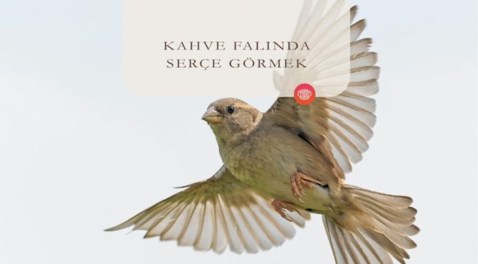 Kahve Falında Serçe Görmek