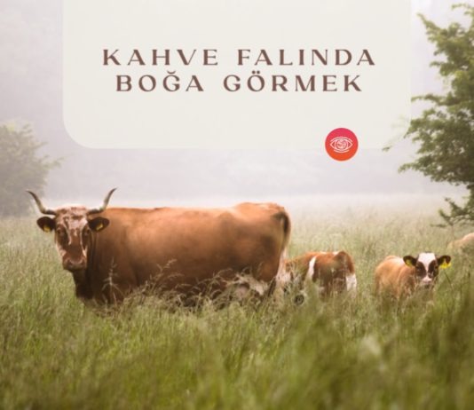 kahve-falinda-boga-gormek