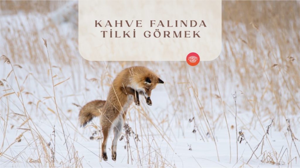 kahve-falinda-tilki-gormek