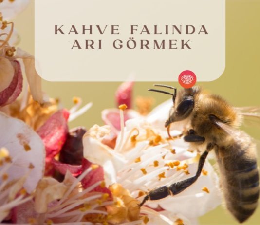 kahve-falinda-ari-gormek