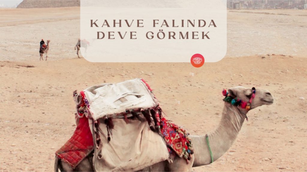 kahve-falinda-deve-gormek