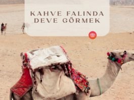 kahve-falinda-deve-gormek