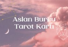 aslan-burcu-tarot-karti
