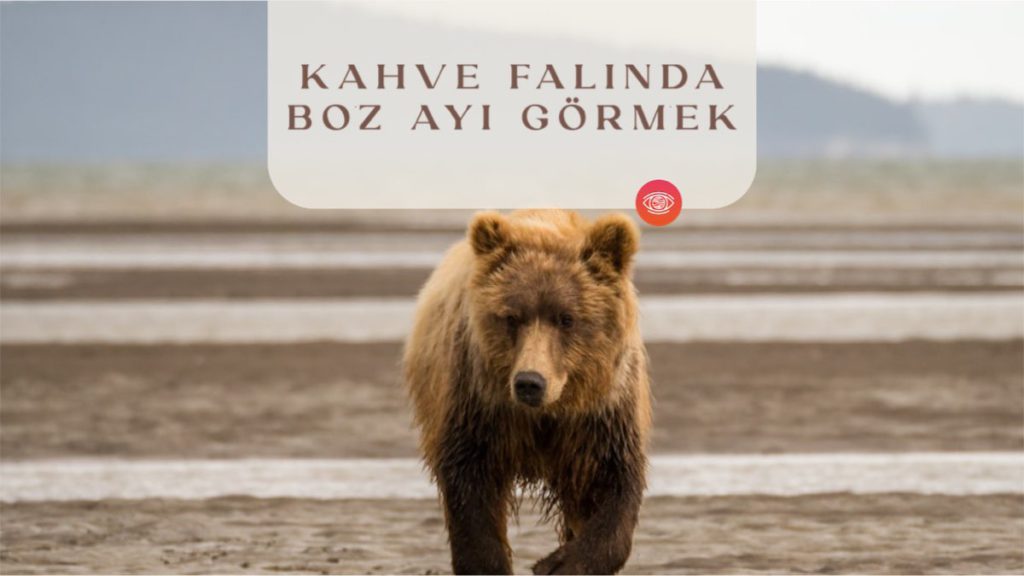 kahve-falinda-boz-ayi-gormek