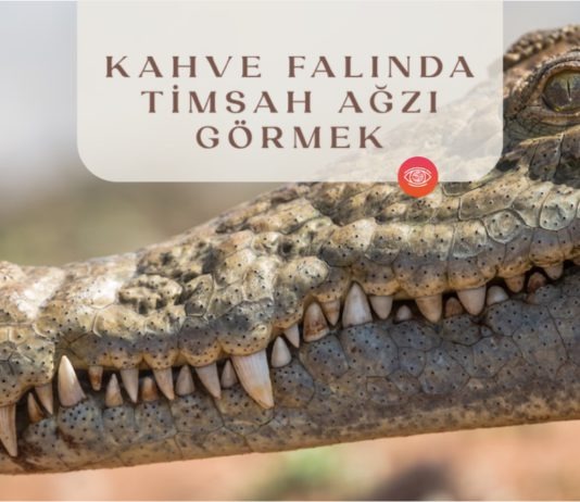 kahve-falinda-timsah-agzi-gormek