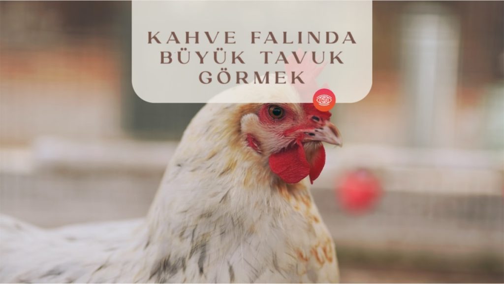 kahve-falinda-buyuk-tavuk-gormek