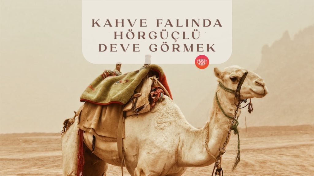 kahve-falinda-horguclu-deve-gormek