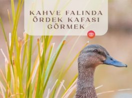 kahve-falinda-ordek-kafasi-gormek