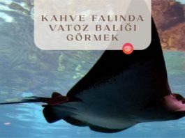 kahve-falinda-vatoz-baligi-gormek