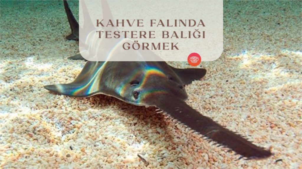 kahve-falinda-testere-baligi-gormek