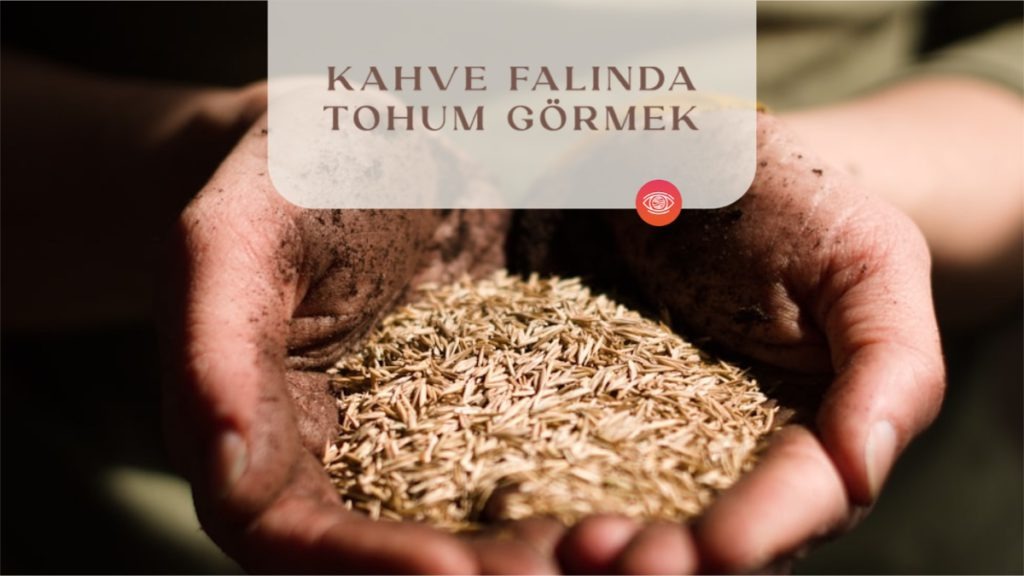 kahve-falinda-tohum-gormek