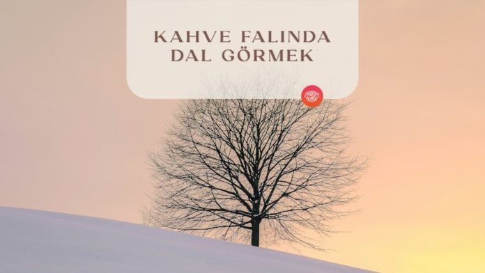 kahve-falinda-dal-gormek