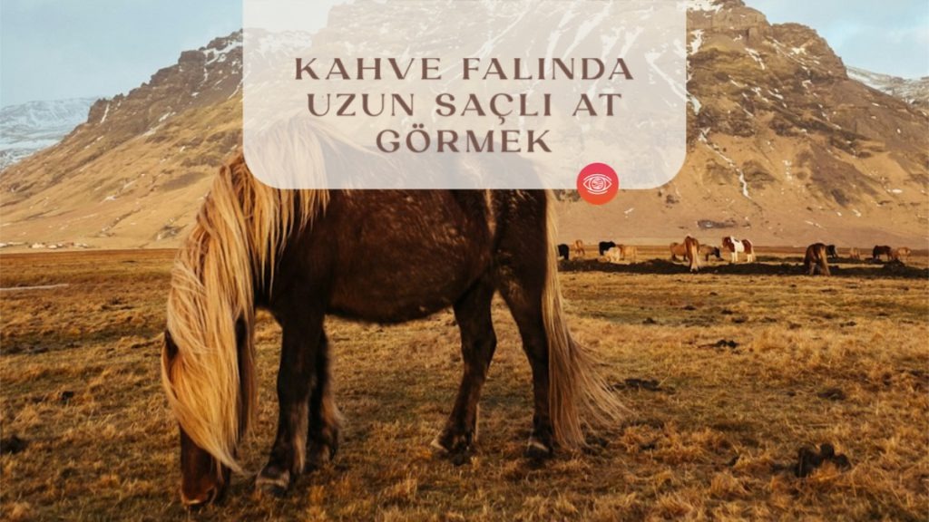 kahve-falinda-uzun-sacli-at-gormek