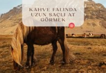 kahve-falinda-uzun-sacli-at-gormek