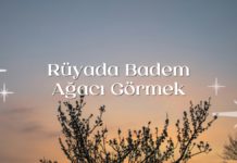 Rüyada Badem Ağacı Görmek