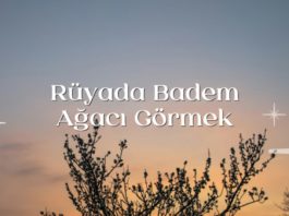 Rüyada Badem Ağacı Görmek