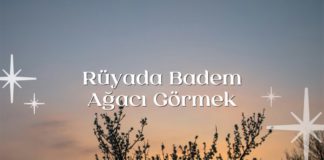 Rüyada Badem Ağacı Görmek