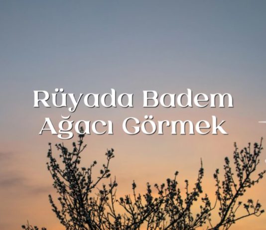 Rüyada Badem Ağacı Görmek