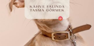 kahve-falinda-tasma-gormek