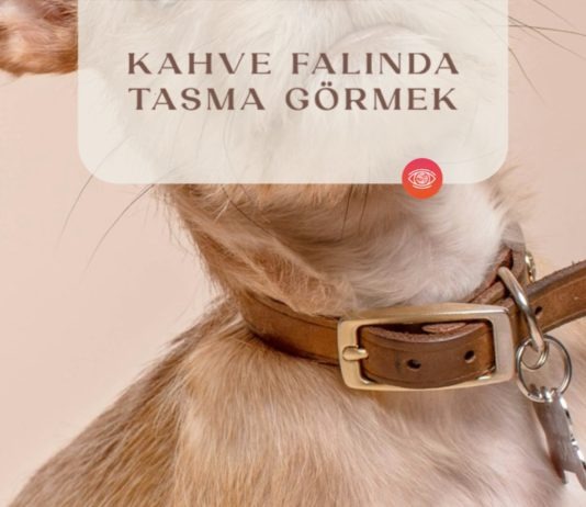 kahve-falinda-tasma-gormek