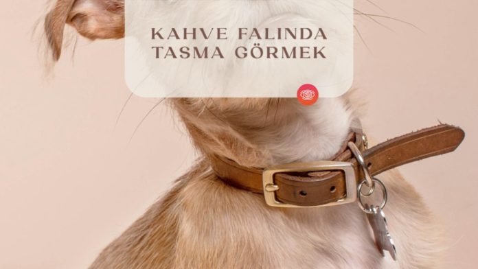 kahve-falinda-tasma-gormek