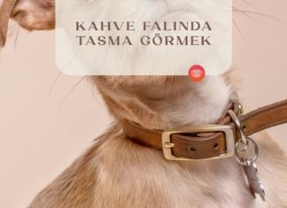 kahve-falinda-tasma-gormek