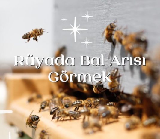 Rüyada Bal Arısı Görmek