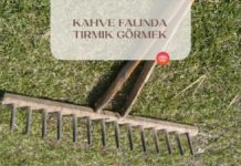 kahve-falinda-tirmik-gormek