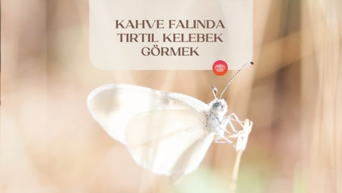 kahve-falinda-tirtil-ve-kelebek-gormek