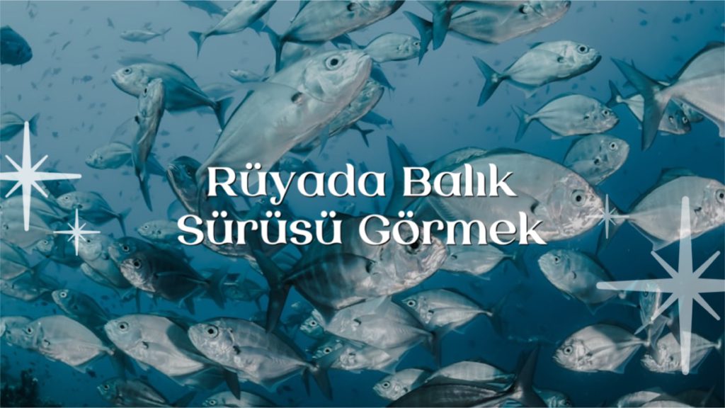 ruyada-balik-surusu-gormek