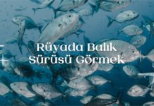 ruyada-balik-surusu-gormek