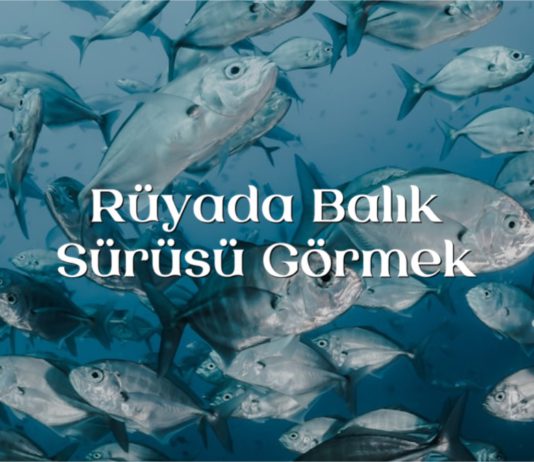 ruyada-balik-surusu-gormek
