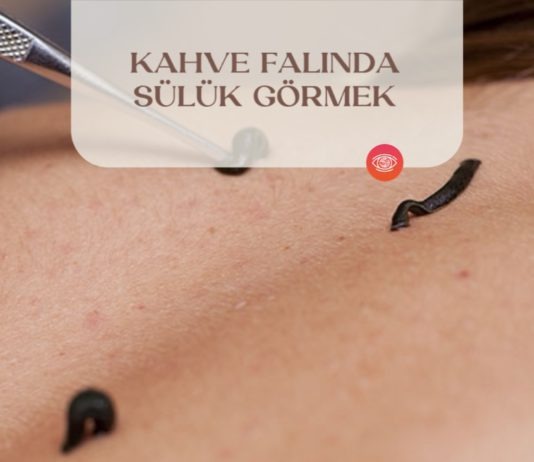 kahve-falinda-suluk-gormek
