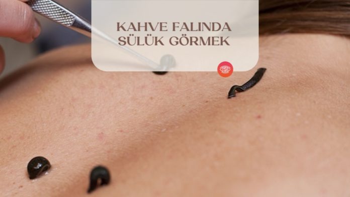 kahve-falinda-suluk-gormek