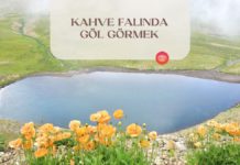 kahve-falinda-gol-gormek